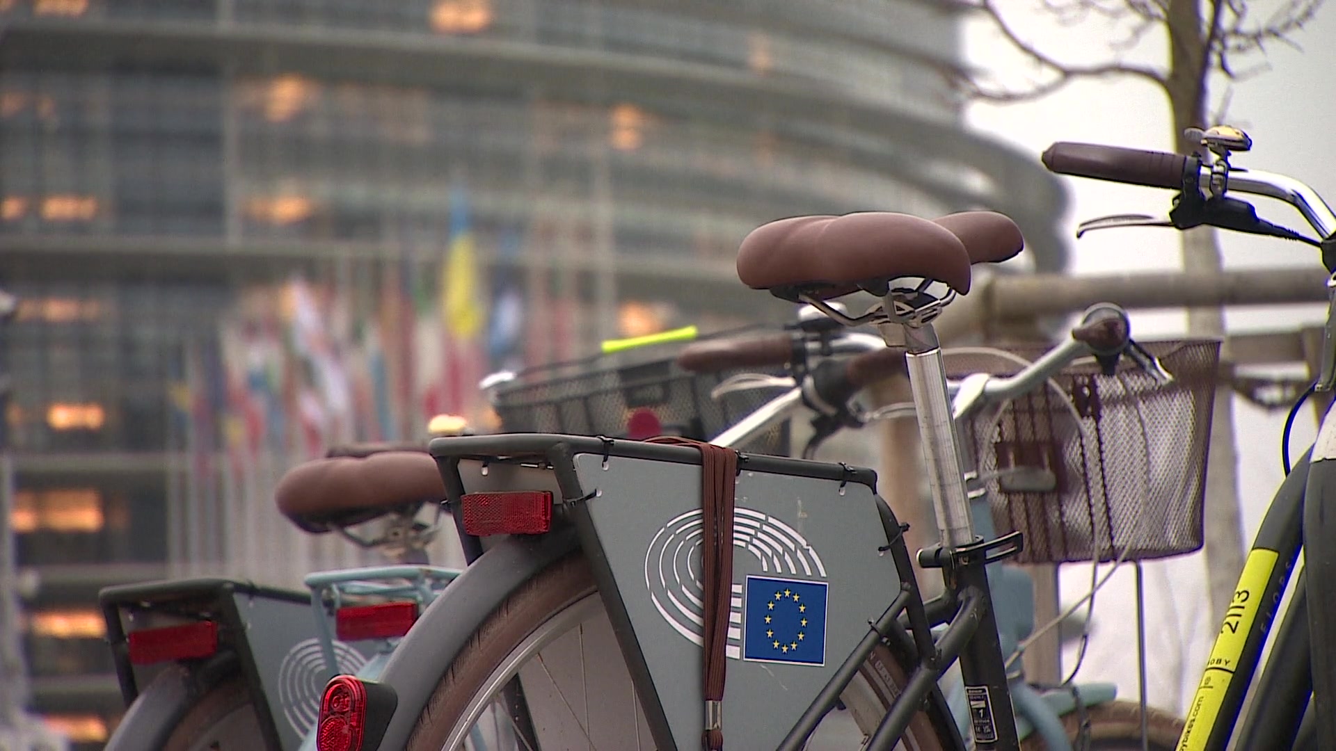 EP plenary session (19-22/01): editing shots